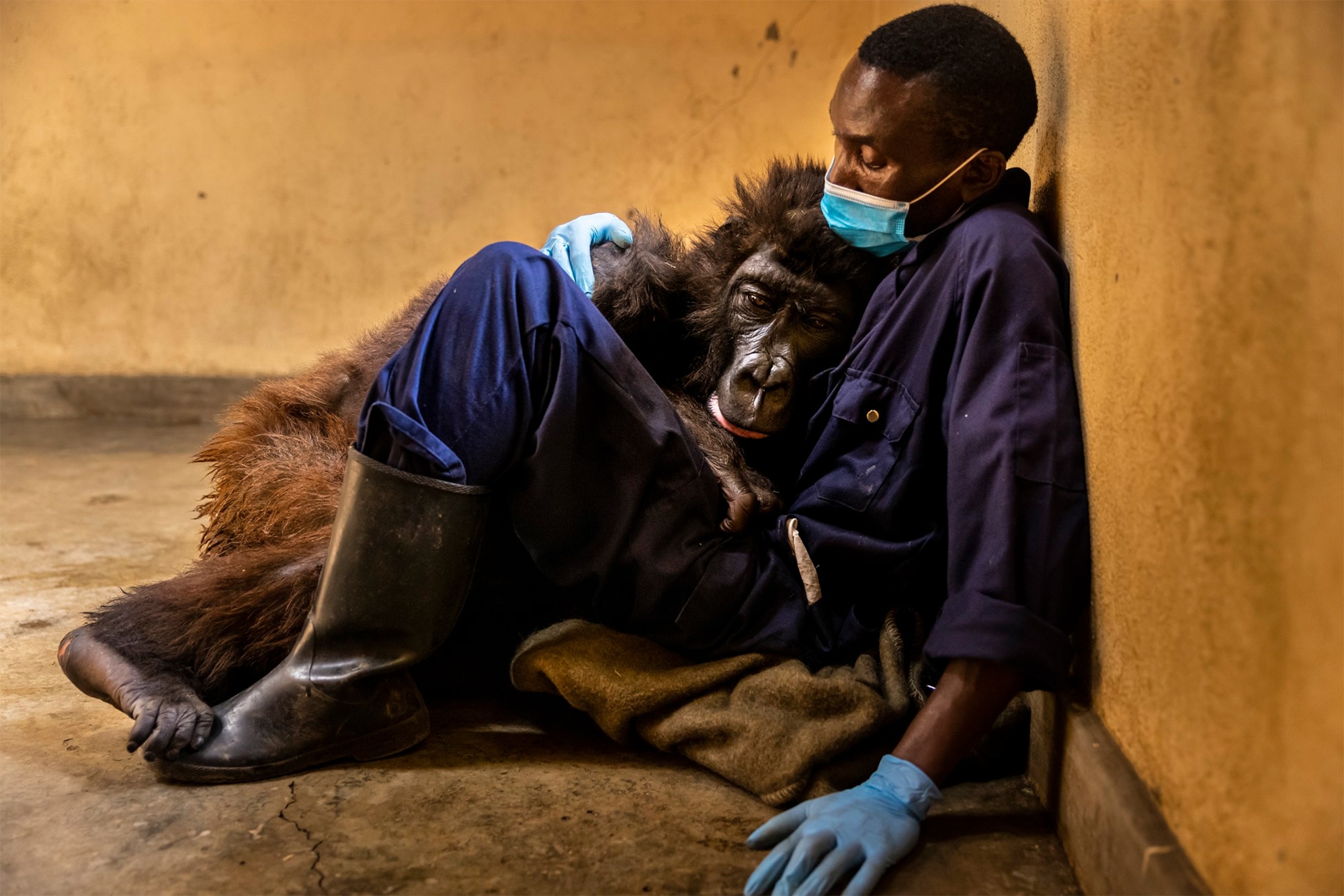 Fotografia di Brent Stirton